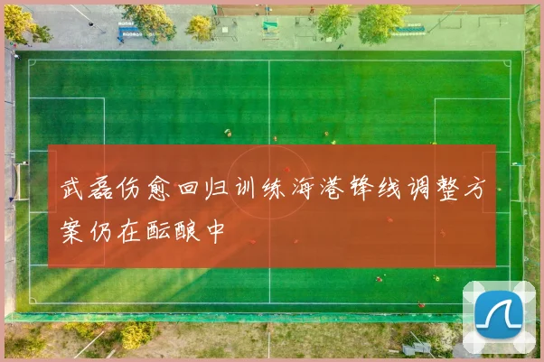 武磊伤愈回归训练海港锋线调整方案仍在酝酿中